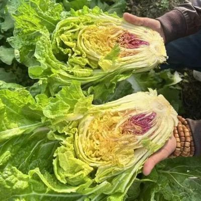 微信图片_2025-12-05_174104_153 微信图片_2025-12-05_174104_153