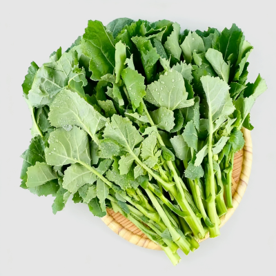 微信图片_2025-12-05_174109_240 微信图片_2025-12-05_174109_240