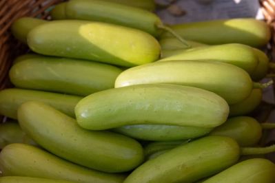 微信图片_2025-12-05_174121_463 微信图片_2025-12-05_174121_463