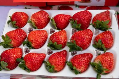 微信图片_2025-12-05_174115_672 微信图片_2025-12-05_174115_672