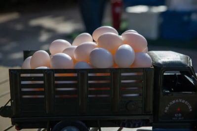 微信图片_2025-12-05_174118_440 微信图片_2025-12-05_174118_440