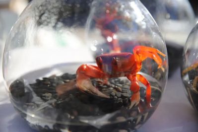 微信图片_2025-12-05_174127_360 微信图片_2025-12-05_174127_360