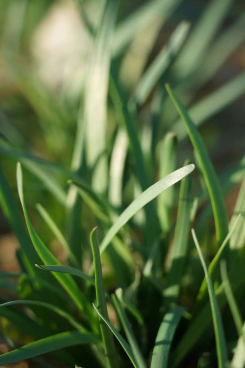 微信图片_2025-12-19_173325_935