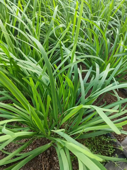 微信图片_2025-12-19_173328_031