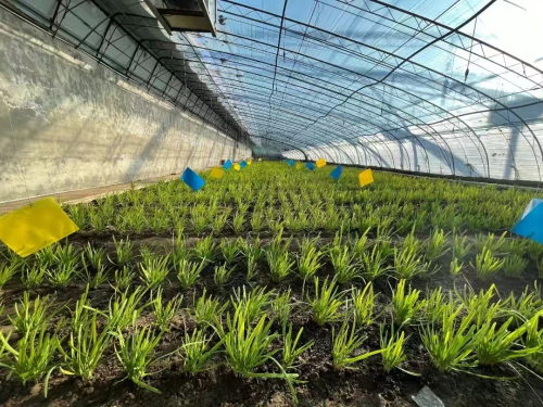 微信图片_2025-12-19_173330_391