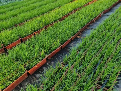 微信图片_2025-12-19_173332_577