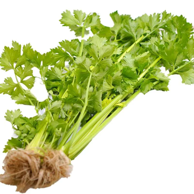 微信图片_2025-12-19_173340_991