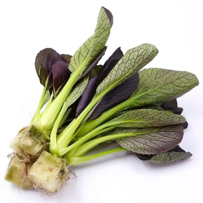 微信图片_2025-12-19_173343_168