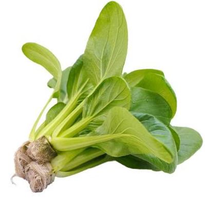 微信图片_2025-12-19_173345_120