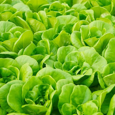 微信图片_2025-12-19_173347_287