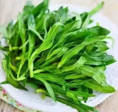 微信图片_2025-12-19_173412_775