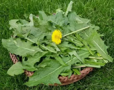 微信图片_2025-12-19_173409_806