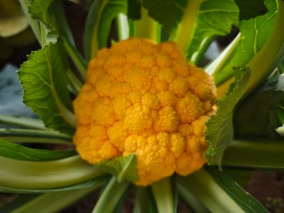 微信图片_2025-12-26_153540_335