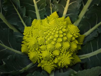 微信图片_2025-12-26_153544_671