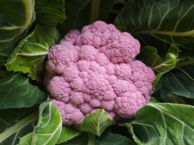 微信图片_2025-12-26_153550_175