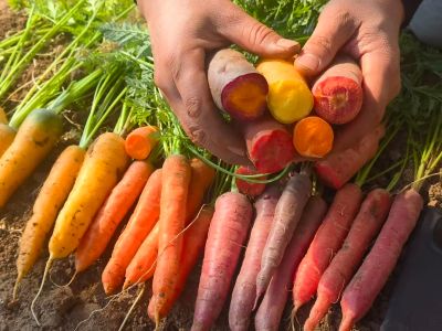 微信图片_2025-12-26_153556_006