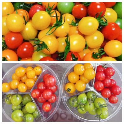 微信图片_2025-12-26_153604_598