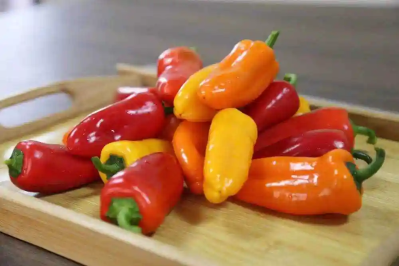 微信图片_2025-12-26_153601_471