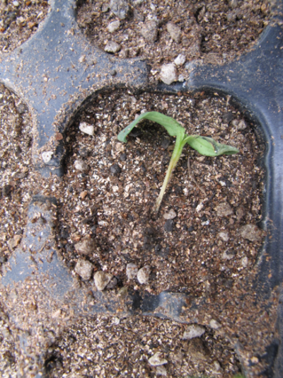 微信图片_20250317093337