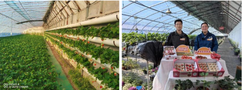 微信图片_20250407150306