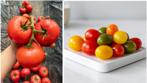 微信图片_20250407150416