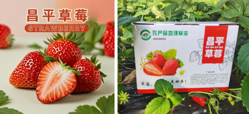 微信图片_20250407150402