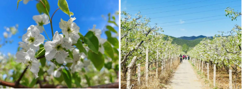 微信图片_20250409113418