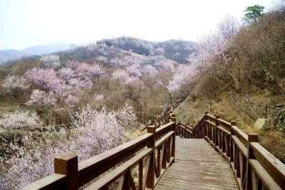 微信图片_2026-03-26_172853_265