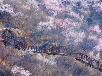 微信图片_2026-03-31_175419_466