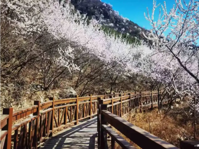 微信图片_2026-03-31_175423_066