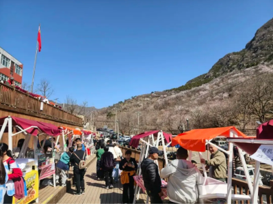 微信图片_2026-03-31_175548_090