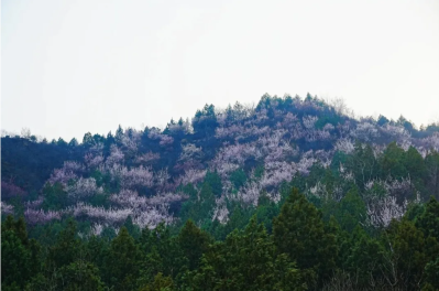 微信图片_2026-03-31_175751_276