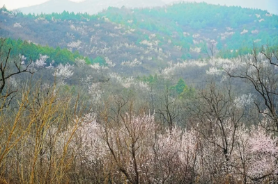 微信图片_2026-03-31_175754_962