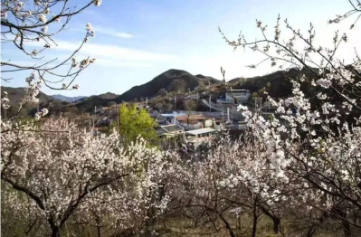 微信图片_2026-03-31_175903_003