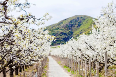 微信图片_2026-03-31_180144_035