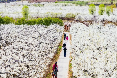 微信图片_2026-03-31_180147_627