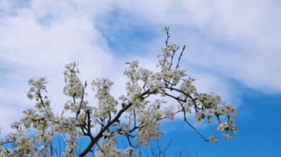 微信图片_2026-03-31_180228_987