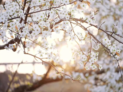 微信图片_2026-03-31_180508_811