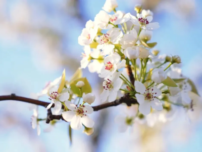 微信图片_2026-03-31_180504_955