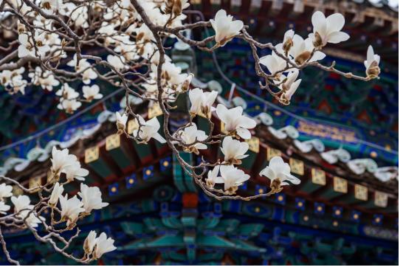 微信图片_2026-04-02_094051_752 微信图片_2026-04-02_094051_752