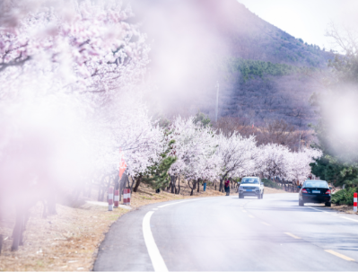 微信图片_2026-04-07_112137_724 微信图片_2026-04-07_112137_724