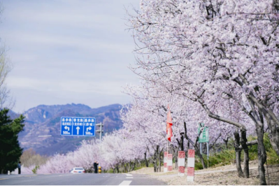 微信图片_2026-04-07_112130_178 微信图片_2026-04-07_112130_178