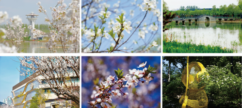 微信图片_2026-04-15_181910_607