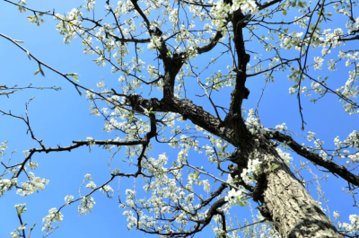 微信图片_2026-04-15_175922_391