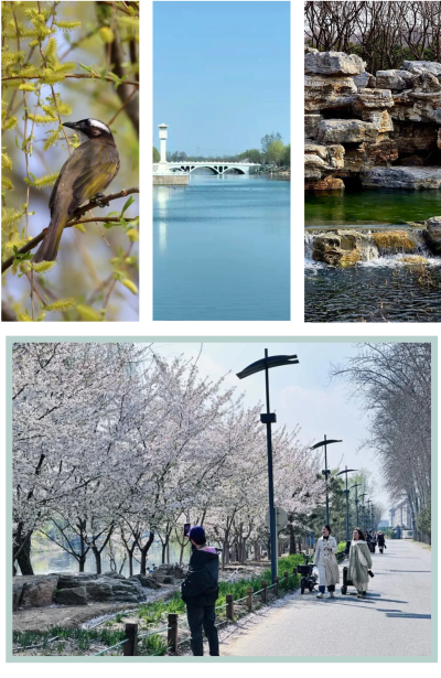 微信图片_2026-04-15_175058_801