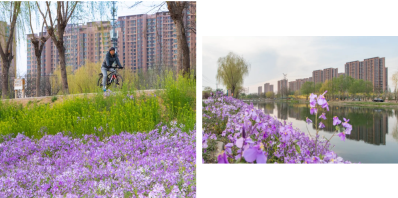 微信图片_2026-04-15_175520_216