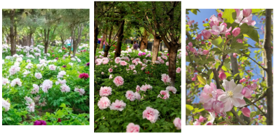 微信图片_2026-04-15_175524_791