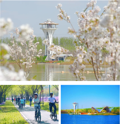 微信图片_2026-04-15_181214_111