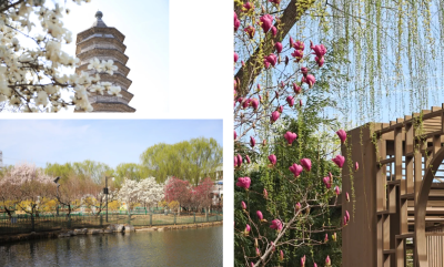 微信图片_2026-04-15_180700_262