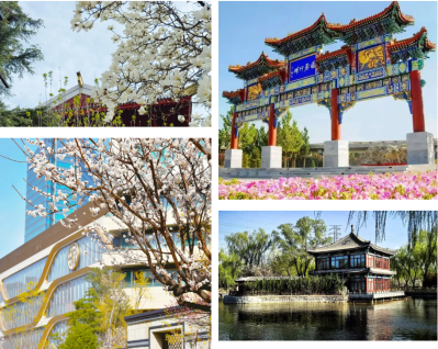 微信图片_2026-04-15_183055_196